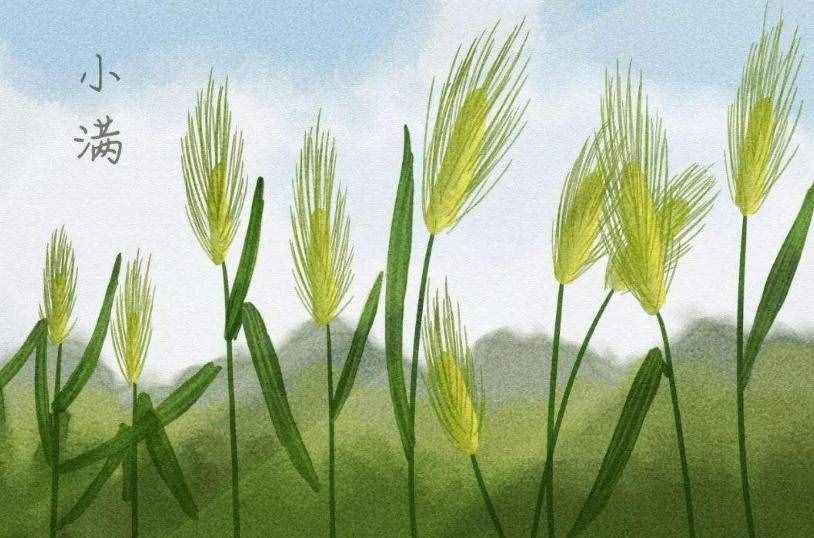 今日小满，祛湿的3个小妙招送给你