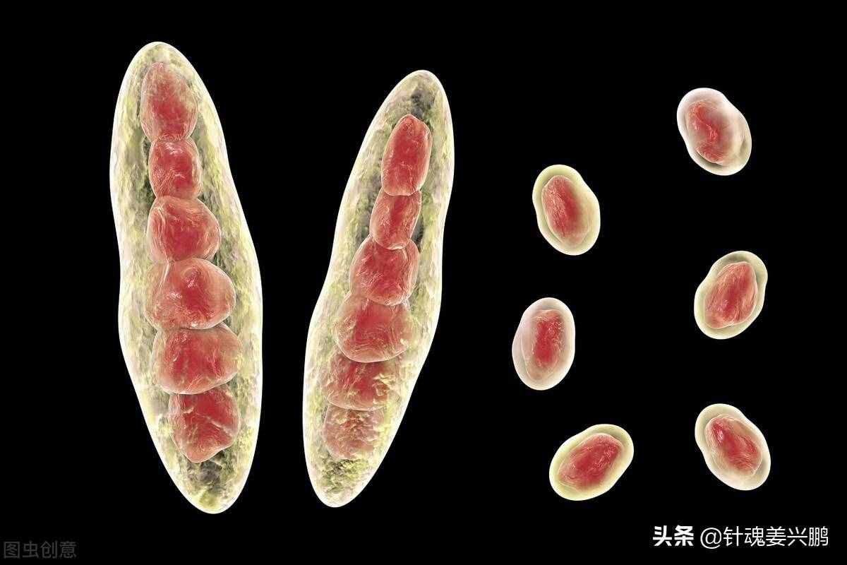 “脚气”真菌怎么才能根治？3个人人实用的方法，彻底治好不复发