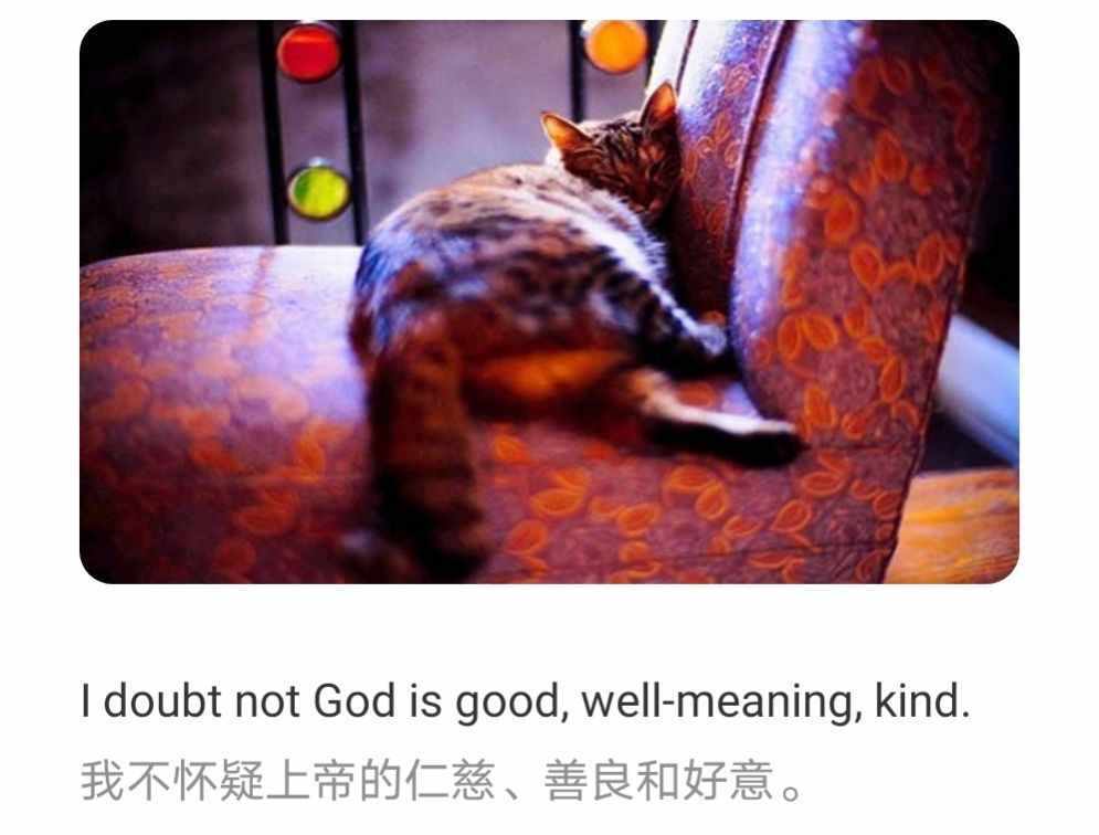 每日英语单词