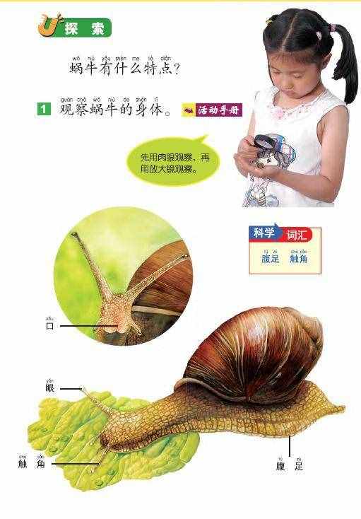 科学汇 