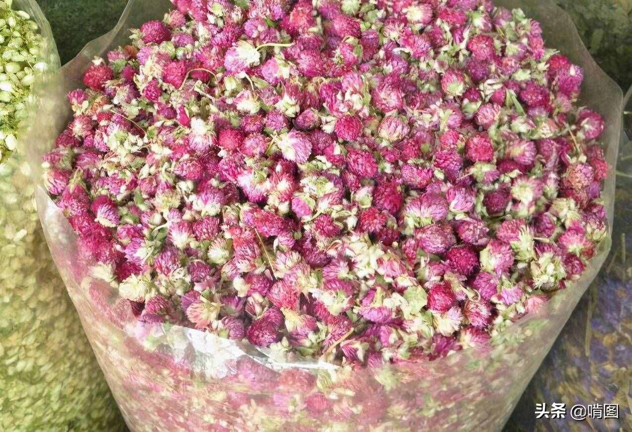 送花礼仪有讲究，别送错了闹笑话，原来法国人不喜欢这种颜色的花