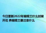 今日更新2022年蝴蝶兰什么时候开花 养蝴蝶兰要注意什么