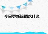 今日更新蝾螈吃什么