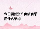 今日更新资产负债表采用什么结构