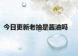 今日更新老抽是酱油吗
