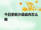 今日更新沙县扁肉怎么做