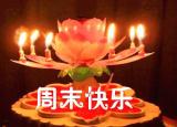 今日更新最新周末祝福短信（周末早安问候语祝福短信）