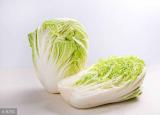 今日更新大白菜的英文（大白菜用英语怎么说）