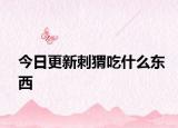 今日更新刺猬吃什么东西