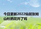今日更新2022仙居张姆山杜鹃花开了吗