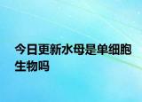 今日更新水母是单细胞生物吗