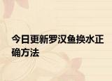 今日更新罗汉鱼换水正确方法