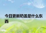 今日更新奶盖是什么东西