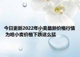 今日更新2022年小麦最新价格行情 为啥小麦价格下跌这么猛