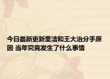 今日最新更新董洁和王大治分手原因 当年究竟发生了什么事情
