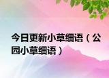 今日更新小草细语（公园小草细语）