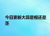 今日更新大蒜是根还是茎