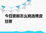 今日更新怎么挑选青皮甘蔗