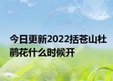 今日更新2022括苍山杜鹃花什么时候开