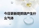 今日更新煤燃烧产生什么气体