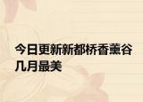 今日更新新都桥香薰谷几月最美