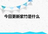 今日更新紫竹是什么