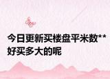 今日更新买楼盘平米数**好买多大的呢