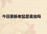 今日更新老鼠是害虫吗