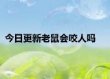 今日更新老鼠会咬人吗