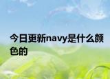 今日更新navy是什么颜色的