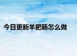 今日更新羊肥肠怎么做