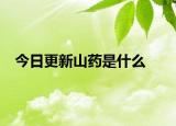 今日更新山药是什么
