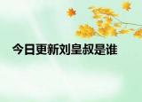 今日更新刘皇叔是谁