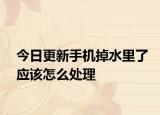 今日更新手机掉水里了应该怎么处理