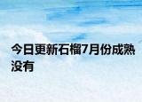 今日更新石榴7月份成熟没有