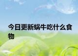 今日更新蜗牛吃什么食物