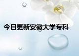 今日更新安徽大学专科