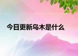 今日更新乌木是什么