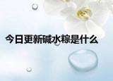 今日更新碱水粽是什么