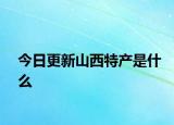 今日更新山西特产是什么