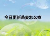 今日更新燕麦怎么煮