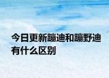 今日更新蹦迪和蹦野迪有什么区别