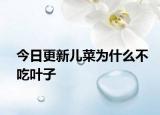 今日更新儿菜为什么不吃叶子