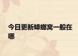今日更新蟑螂窝一般在哪