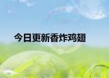 今日更新香炸鸡翅