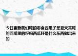 今日更新我们吃的零食西瓜子是夏天常吃的西瓜里的籽吗西瓜籽是什么东西做出来的