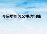 今日更新怎么挑选狗绳