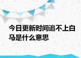 今日更新时间追不上白马是什么意思