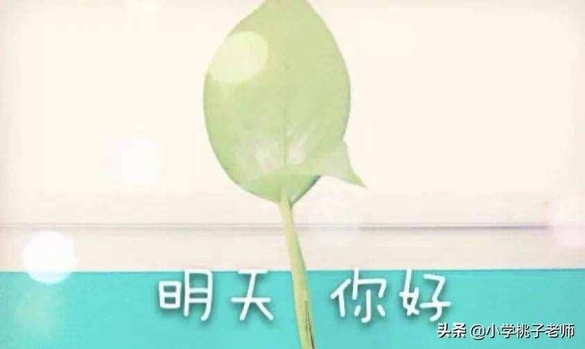 小学生一篇“荷包蛋”课外阅读题，带来的感恩教学