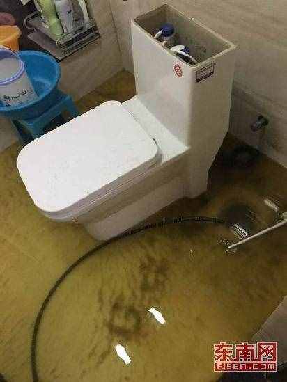 管道堵塞污水倒灌 厦门一住房两月三变“化粪池”